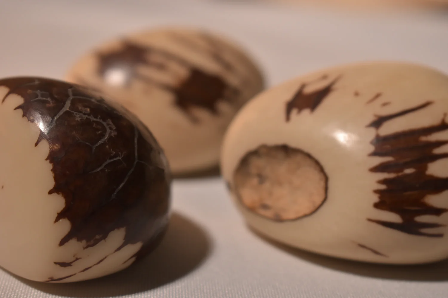 Vegetable Ivory
