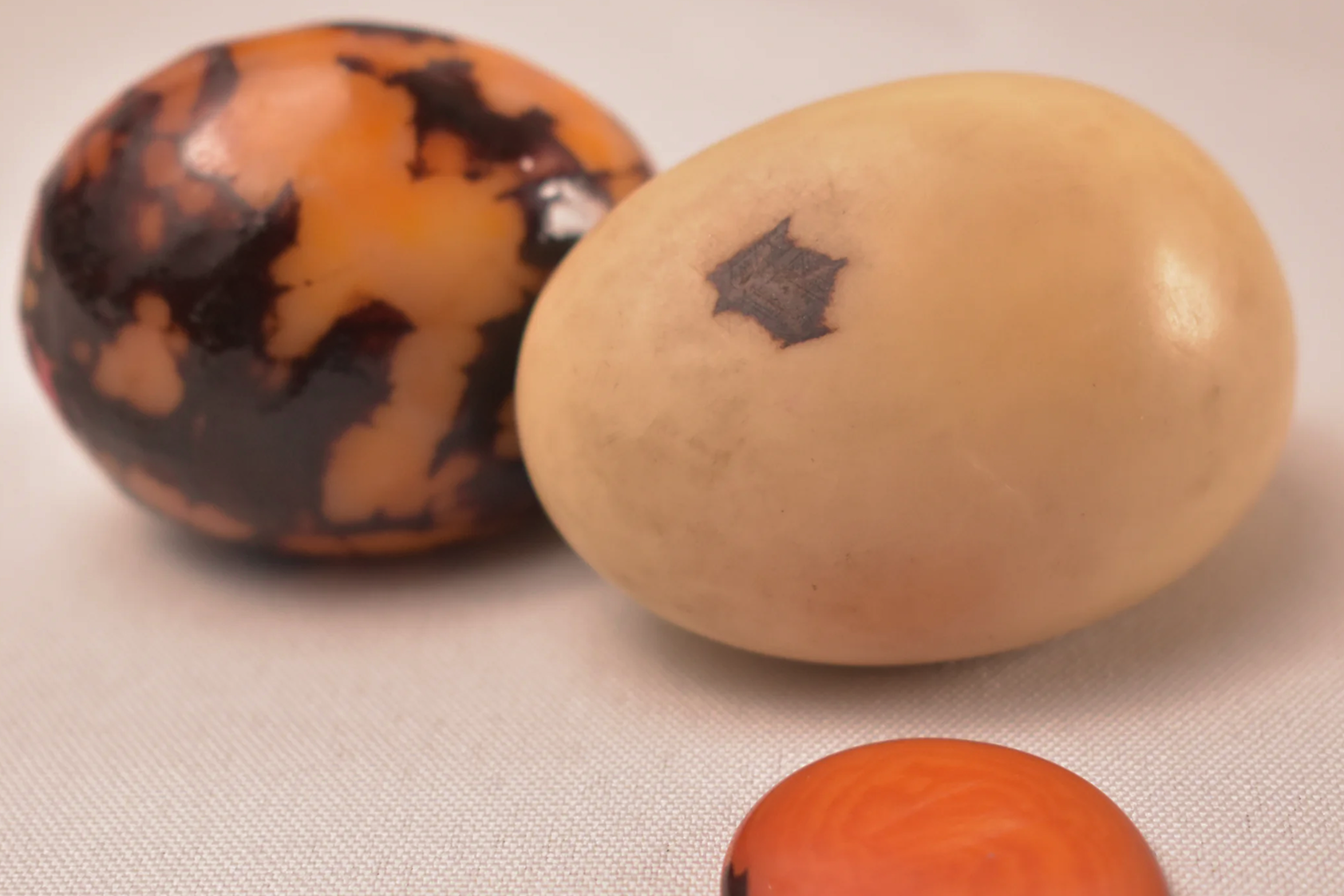 Tagua, the sustainable material behind our jewellery